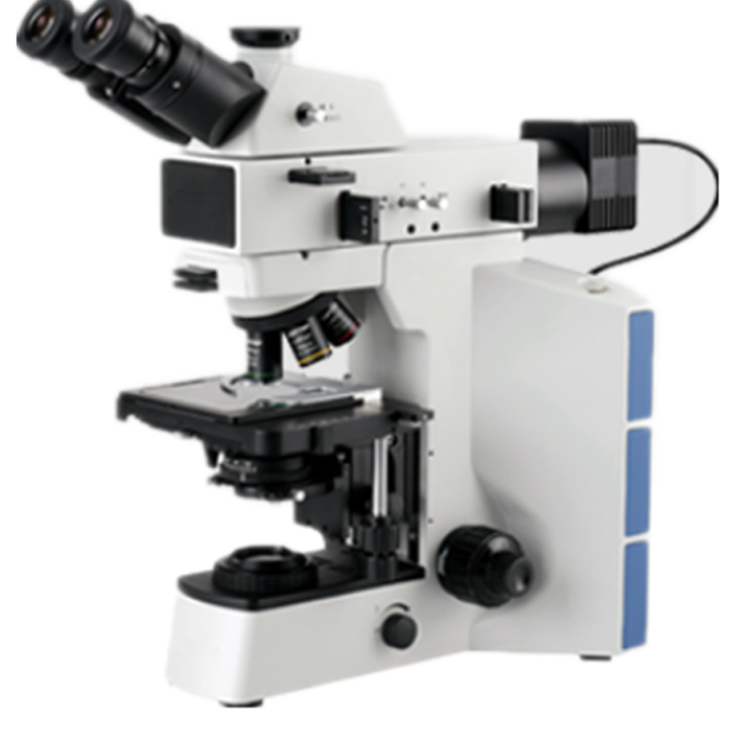 Positive gold microscope FY-MMD-400