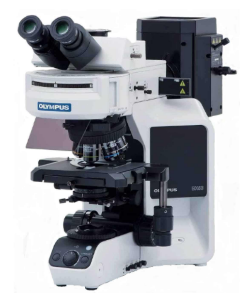 Olympus Optical Microscope BX53P